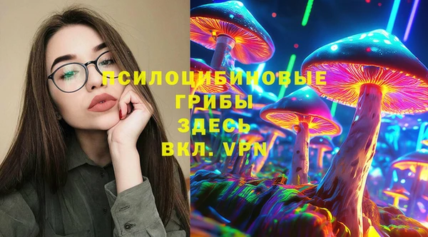 молекула духа Бородино