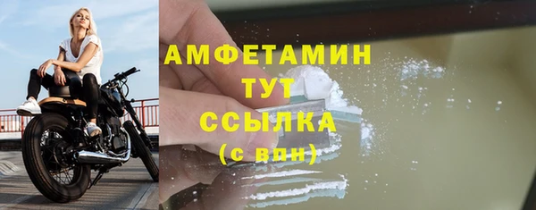 молекула духа Бородино