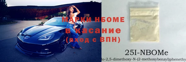 молекула духа Бородино