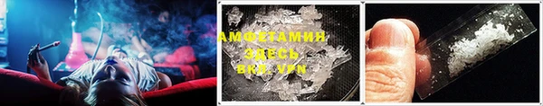 молекула духа Бородино