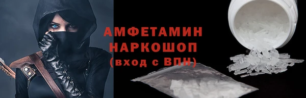 молекула духа Бородино