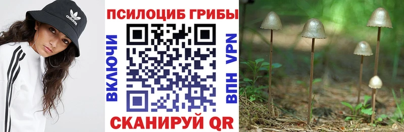 Галлюциногенные грибы Psilocybe  Козельск 